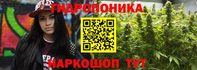 apvp Бузулук