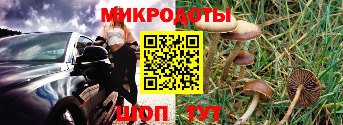 Минусинск  Галлюциногенные грибы Psilocybe  Вход с VPN  Галлюциногенные грибы Cubensis 